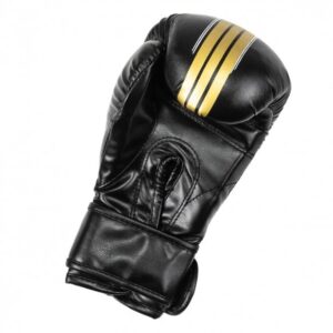 Boxing Gloves BOOSTER FUTURE V2 gold