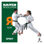 kaiten-spirit (2)