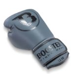 booster4754