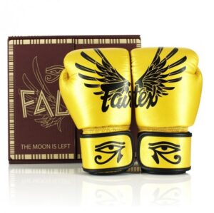 Gants de boxe FAIRTEX Falcon